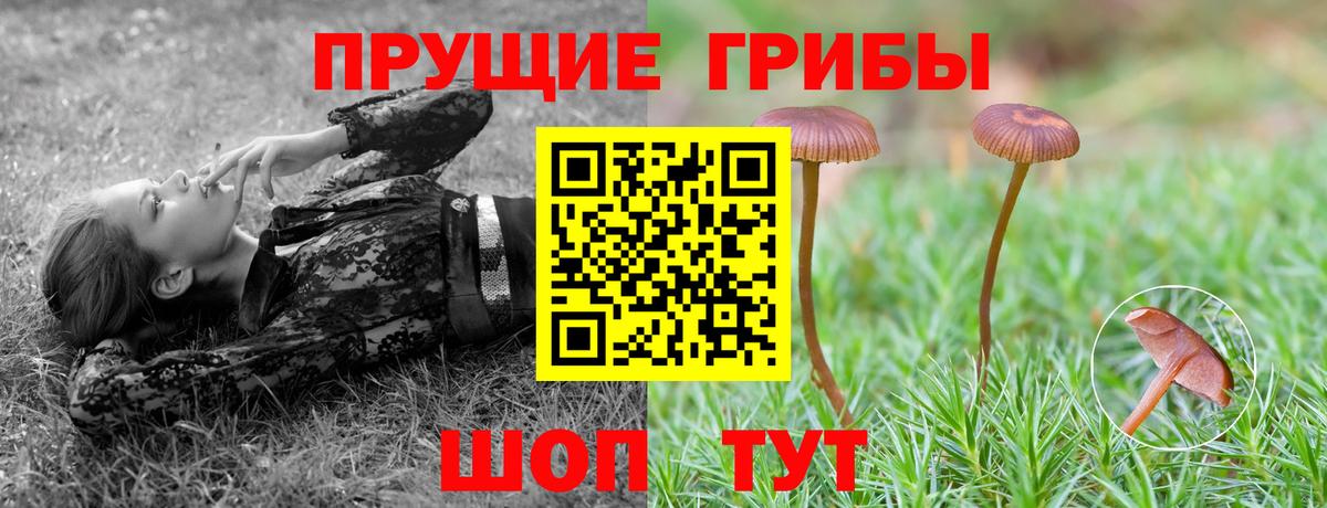 A-PVP СК   Кокаин  ГАШ  ТГК  Вход с VPN  МАРИХУАНА  ГАШИШ  Сыктывкар  Меф МЯУ МЯУ кристаллы 